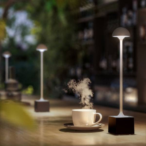 Lampes de décoration en aluminium au design épuré de la Collection Flora à Antibes