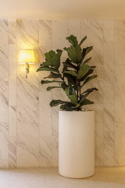 Pot de fleur en polypropylène Gatsby à Cannes