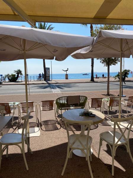 Chaise de repas extérieur collection Rétro Italienne en aluminium effet bois vieilli