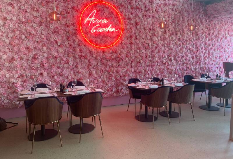 Fauteuil de restaurant de la collection LEA par MIDJ avec structure en acier et derrière en bois à Genève