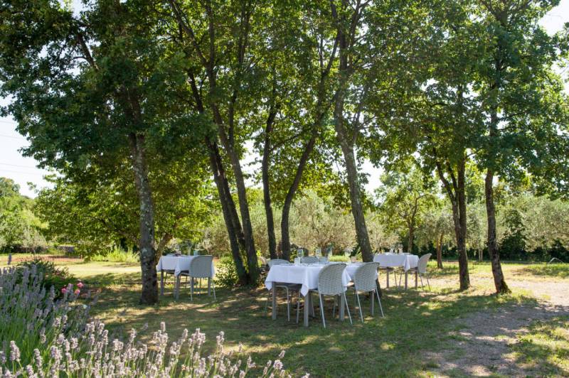 Chaise de repas personnalisable et durable en acier collection SYDNEY à Antibes